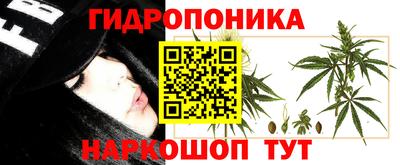 прущие грибы Ликино-Дулёво