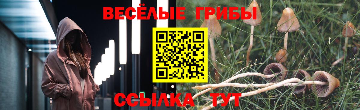 Псилоцибиновые грибы ЛСД  Вход с VPN  Дивногорск 
